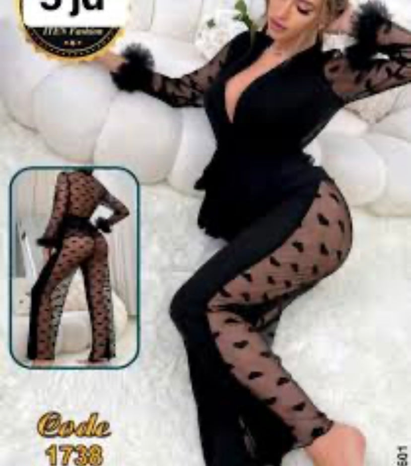 Combinaison de Nuit Élégante avec Voile Transparent & Détails Plume